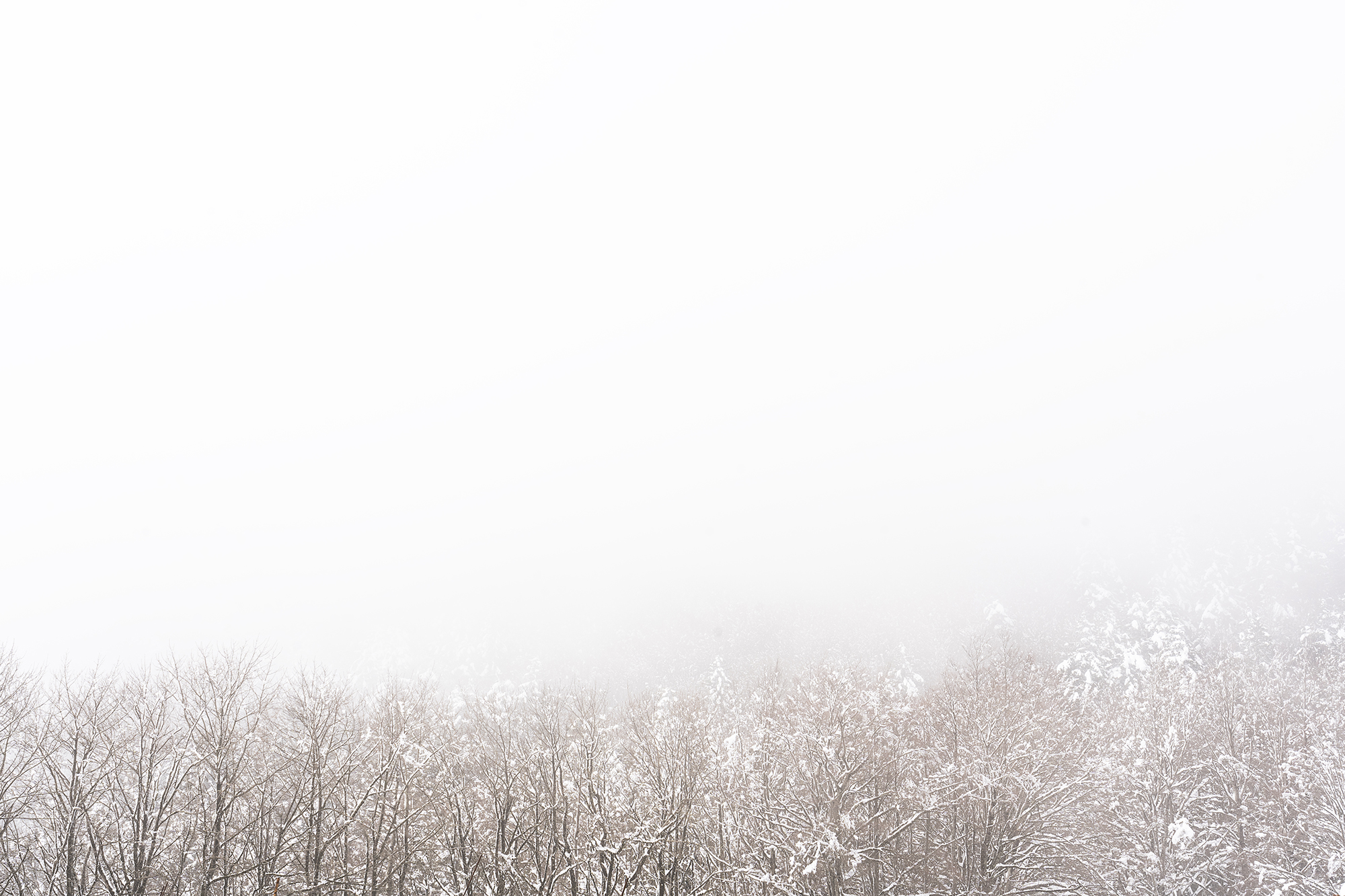 Paesaggio invernale in Appennino nei pressi del Passo della Calla in Casentino, lungo la linea Gotica. 020