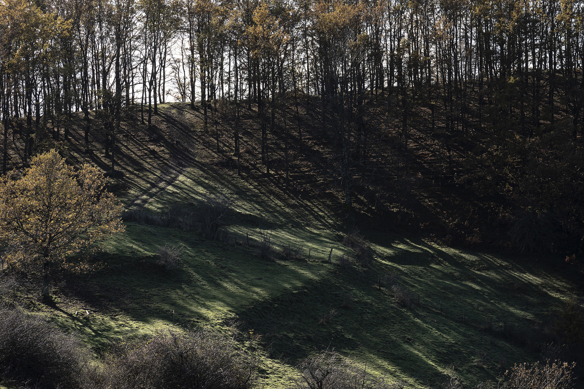 Il luogo che adesso ospita le malghe nei pressi del monte Picchiara, durante la guerra veniva utilizzato come zona di lancio da parte degli alleati per rifornire la Resistenza Partigiana. 049